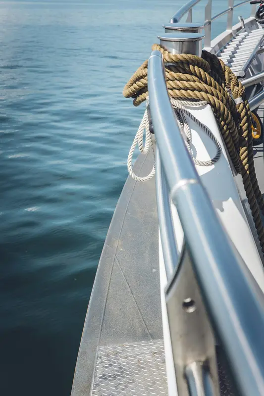 Rockin.Boats Premium Domain